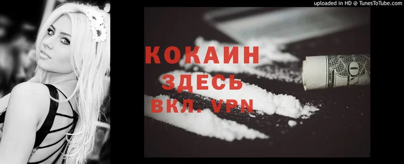 как найти наркотики  Свирск  COCAIN VHQ 